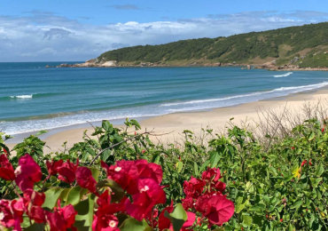 Transfer Florianópolis Praia do Rosa